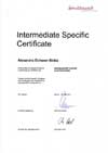 Intermediate-Specific-SD-Körperarbeit-und-3D-Massage